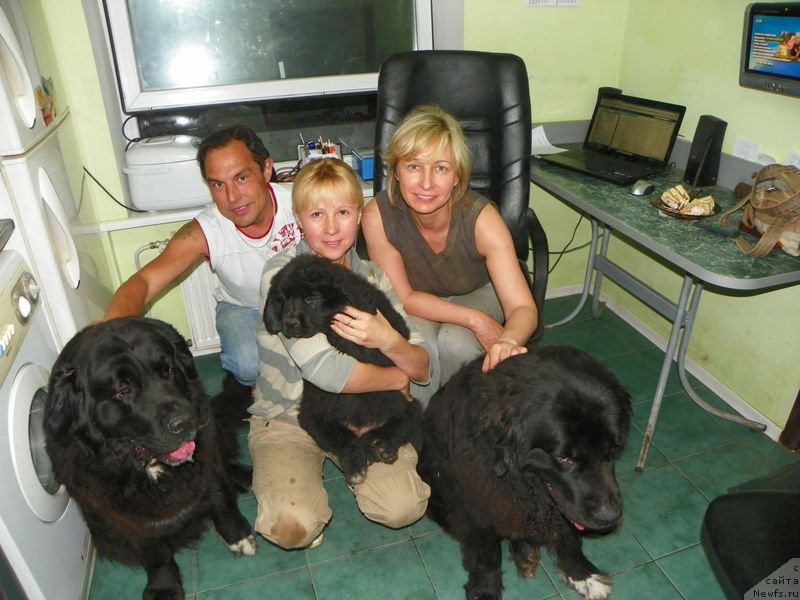 Фотография № 154922