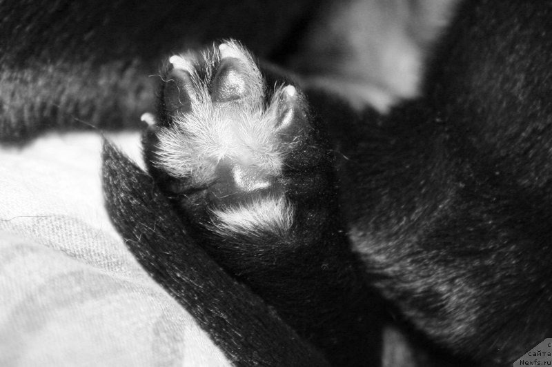 Фотография № 154929