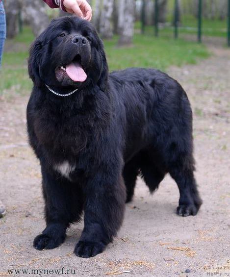 Фотография № 154943