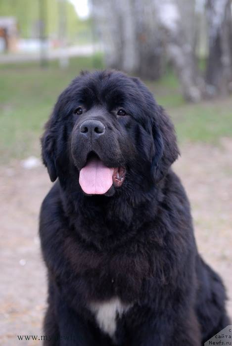 Фотография № 154948