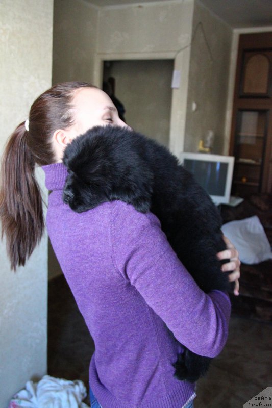 Фотография № 154960