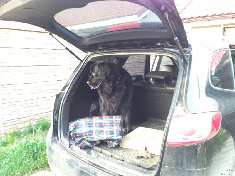 Фотография № 154970