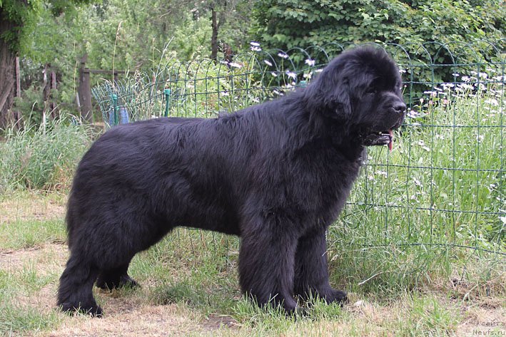 Фотография № 154976