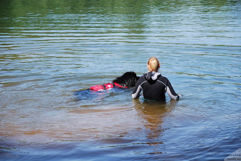 Фотография № 155014