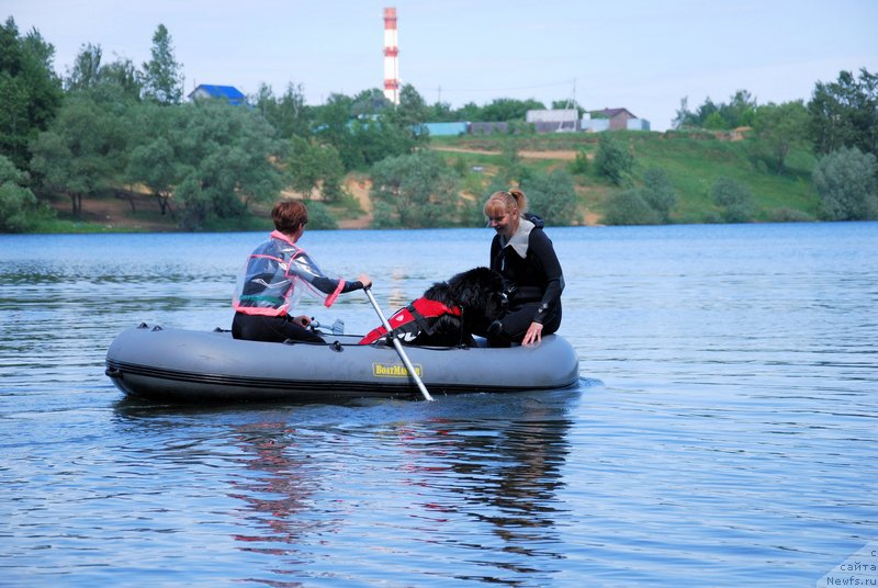 Фотография № 155016