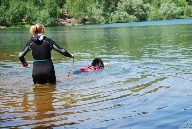 Фотография № 155017