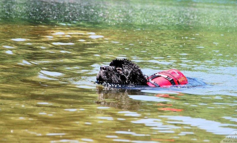 Фотография № 155018