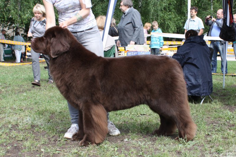 Фотография № 155022