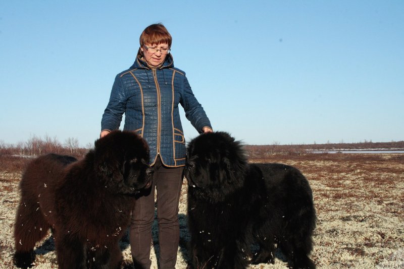 Фотография № 155032