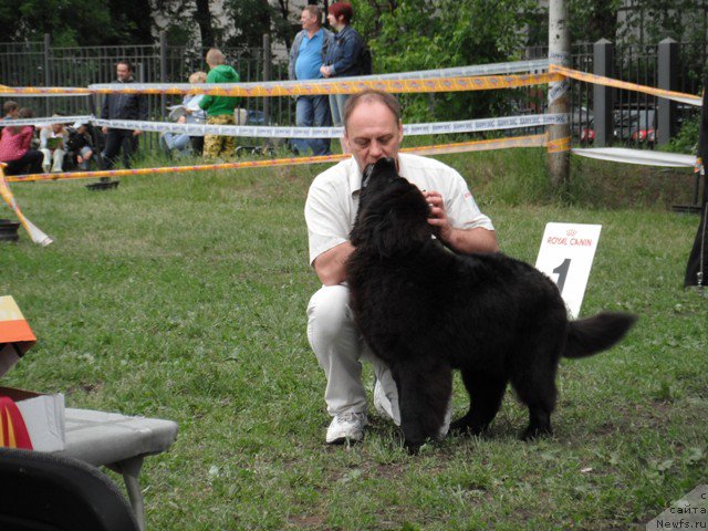 Фотография № 155051