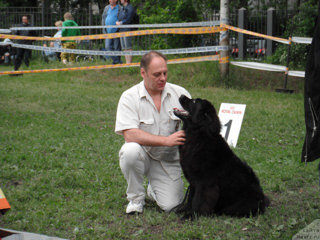 Фотография № 155053