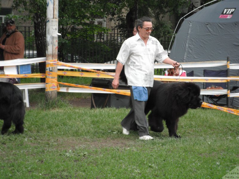 Фотография № 155056