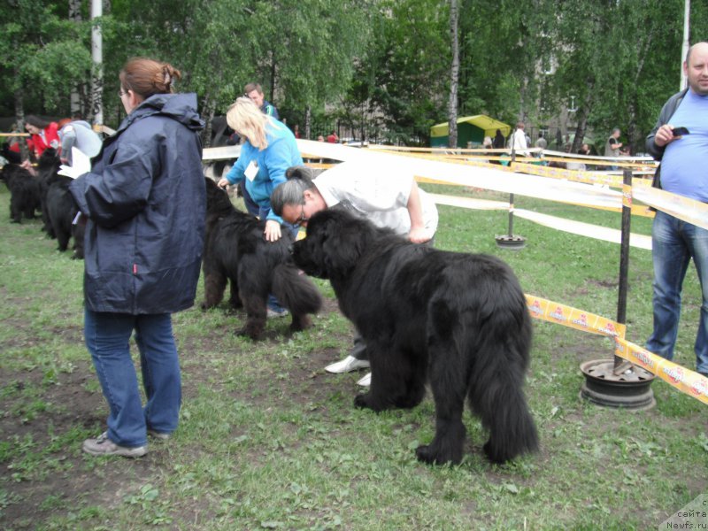 Фотография № 155057