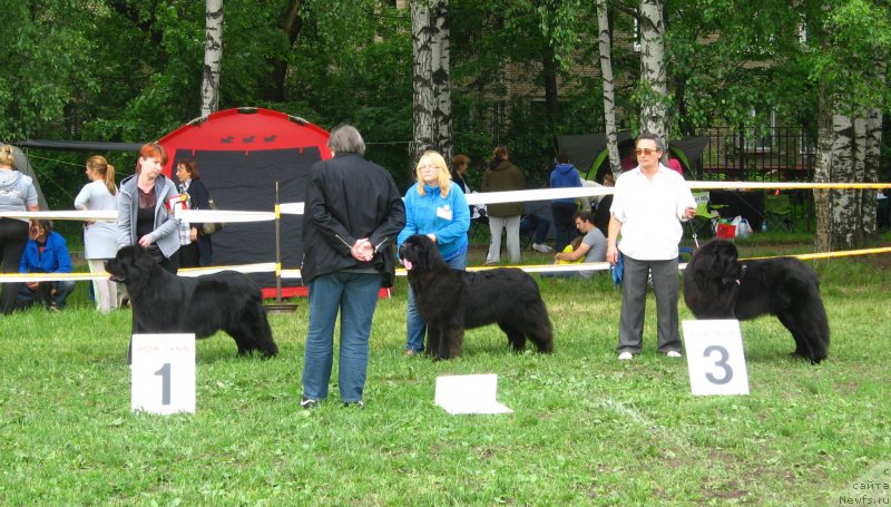 Фотография № 155064