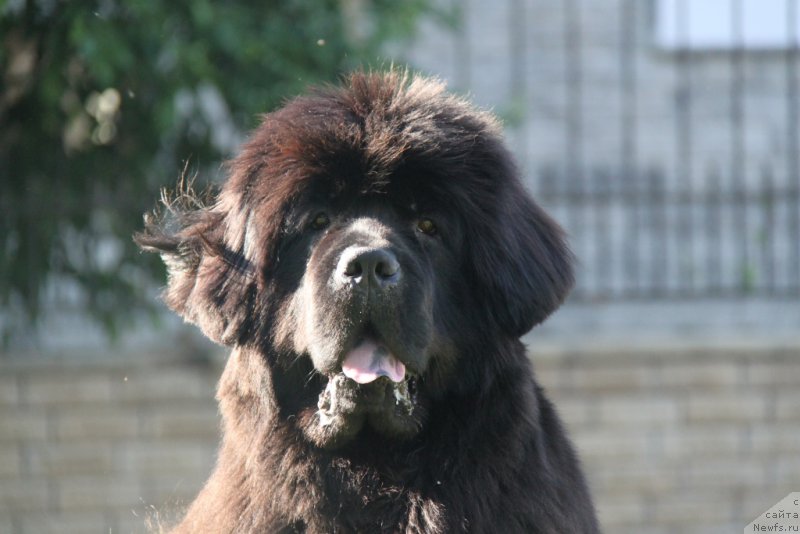 Фотография № 155086