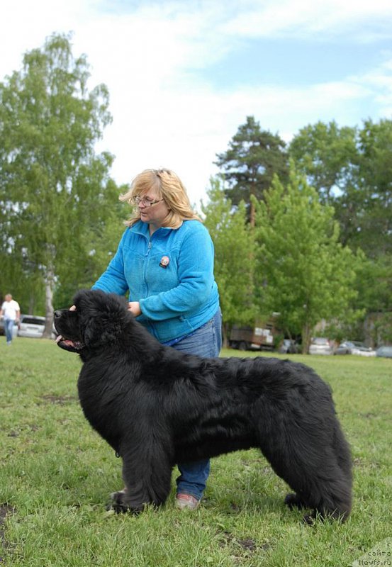 Фотография № 155103