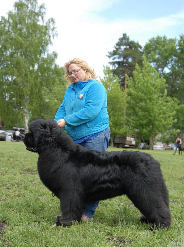 Фотография № 155104