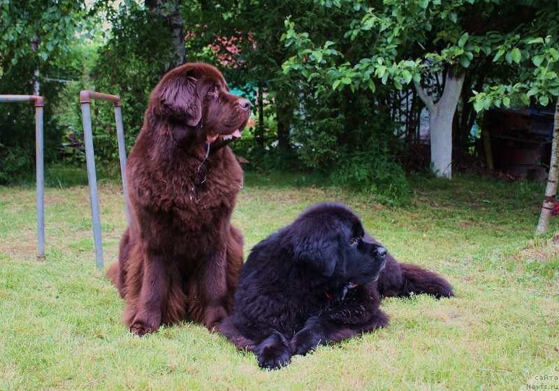 Фотография № 155129