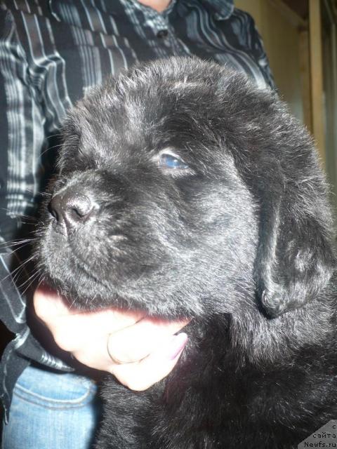 Фото: ЭЛЕГИЯ МОРЯ