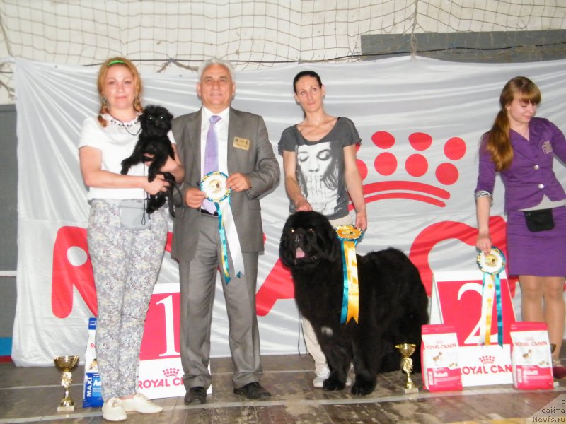 Фотография № 155134