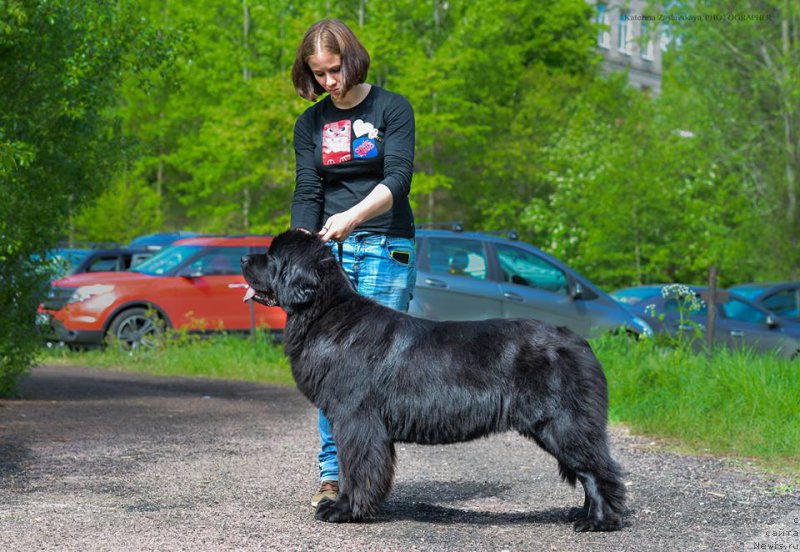 Фотография № 155140