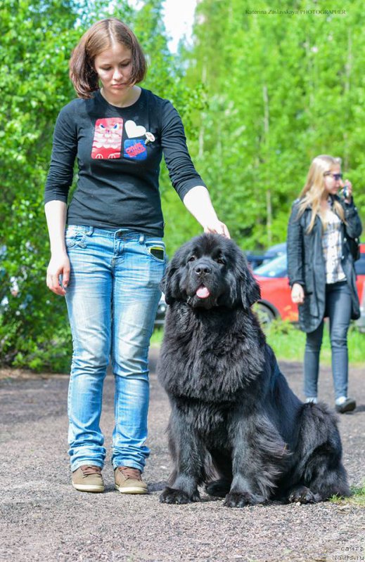 Фотография № 155141