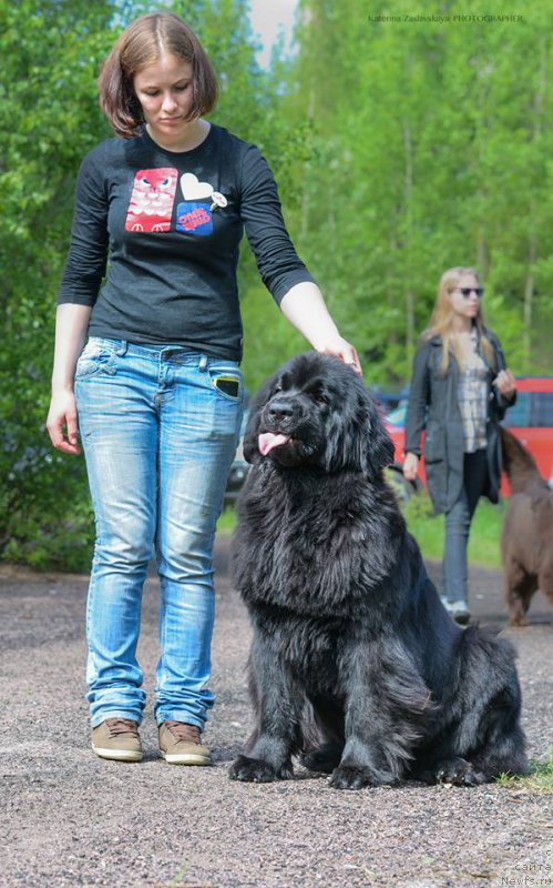 Фотография № 155142