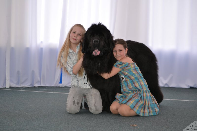 Фотография № 155145