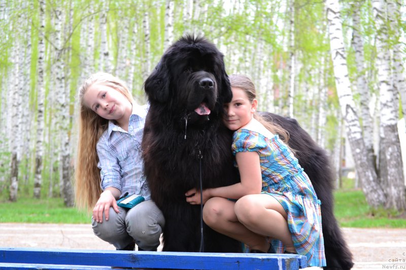 Фотография № 155149