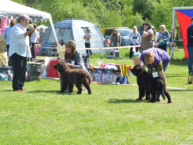 Фотография № 155180