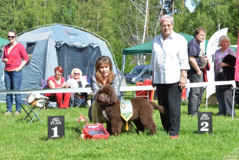 Фотография № 155184