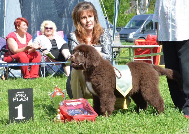 Фотография № 155185