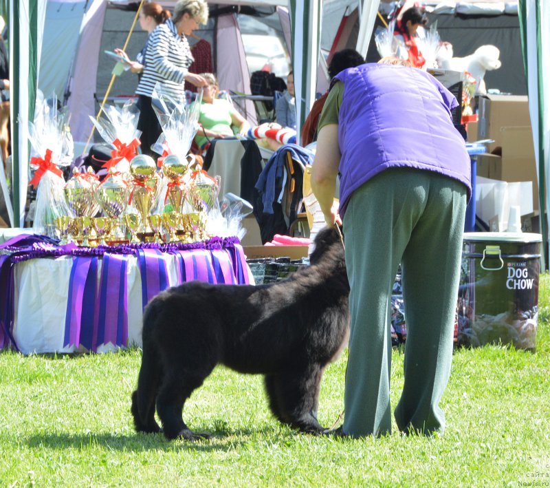 Фото: Бегущая по волнам Фифхт Элемент