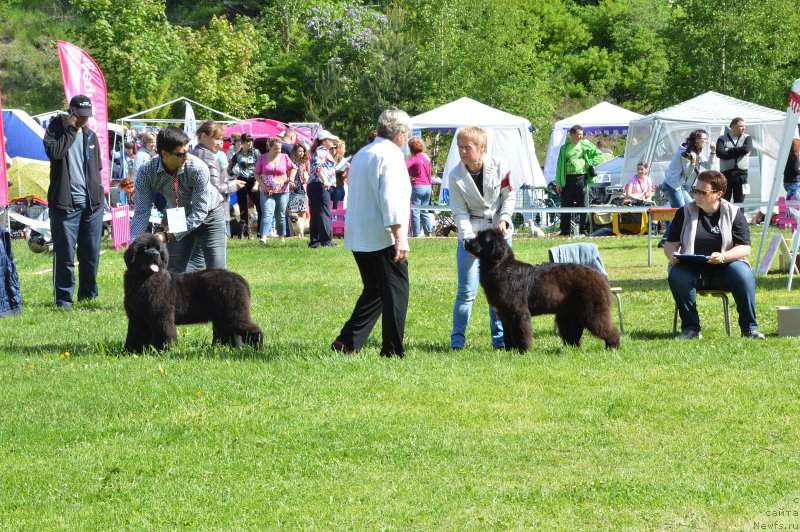 Фотография № 155192