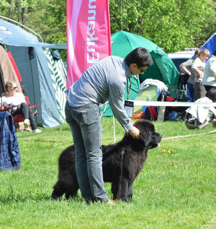 Фотография № 155197