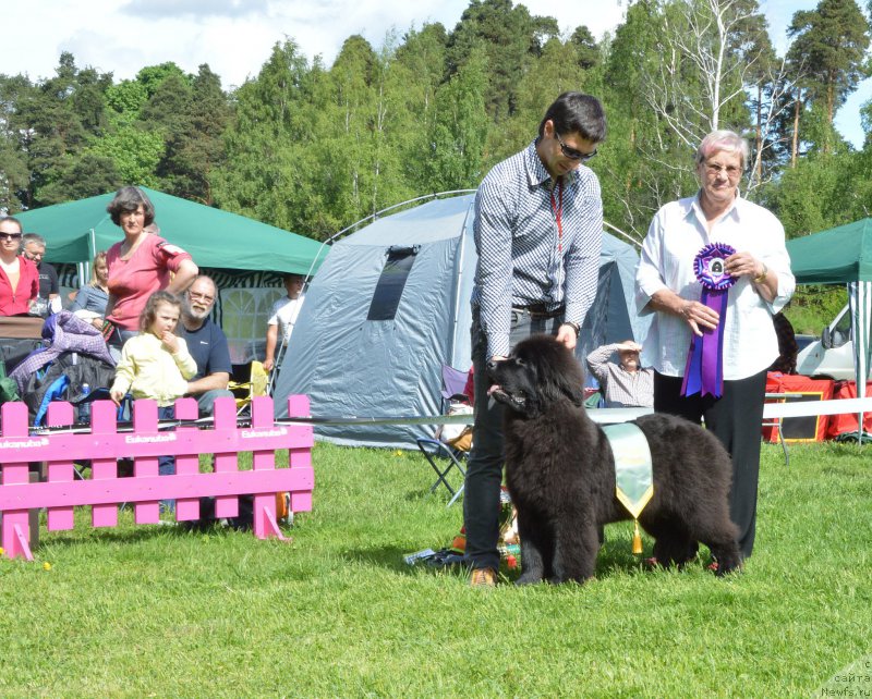 Фотография № 155202