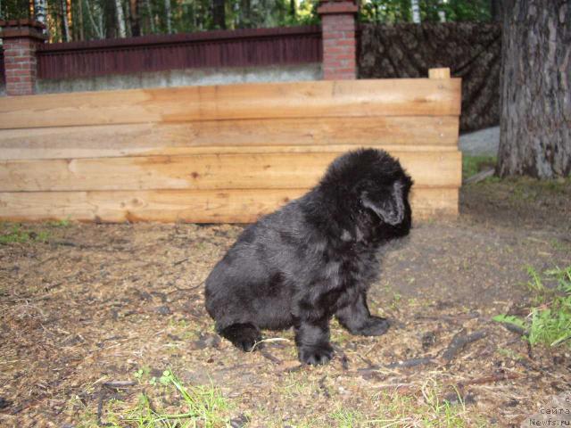 Фотография № 15523