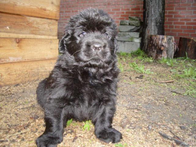 Фотография № 15524