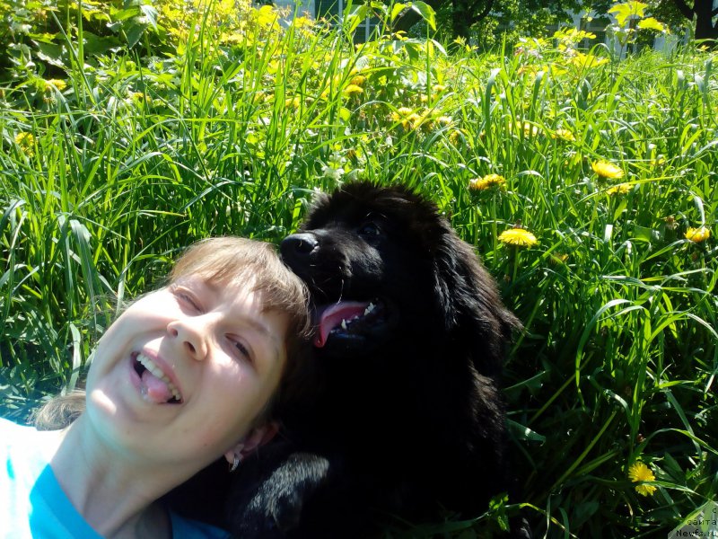 Фотография № 155268