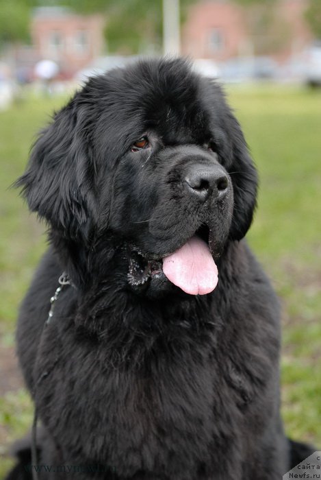 Фотография № 155280