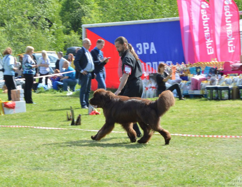 Фотография № 155295