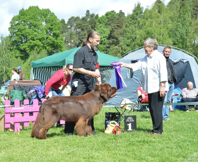 Фотография № 155296