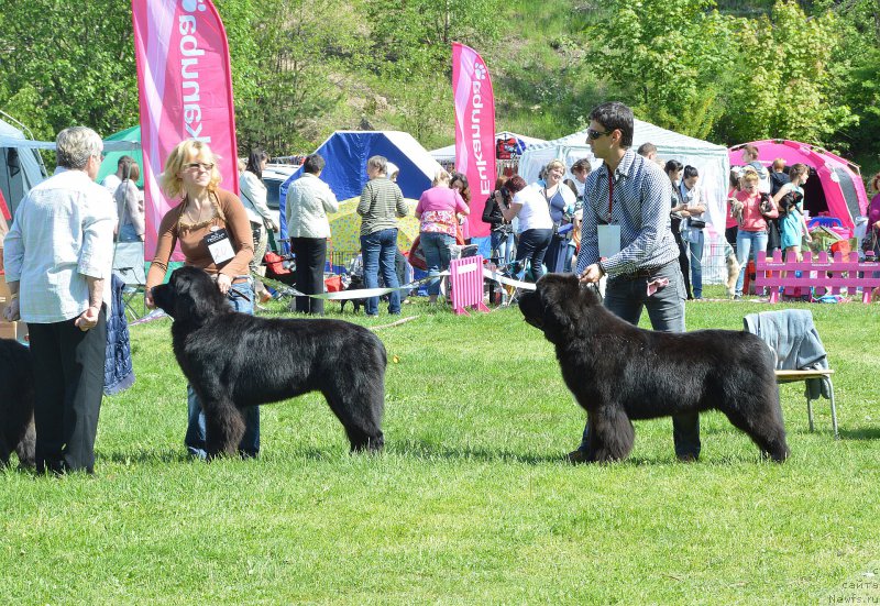 Фотография № 155300