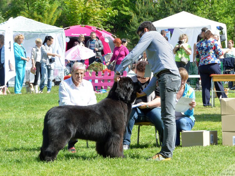 Фотография № 155301