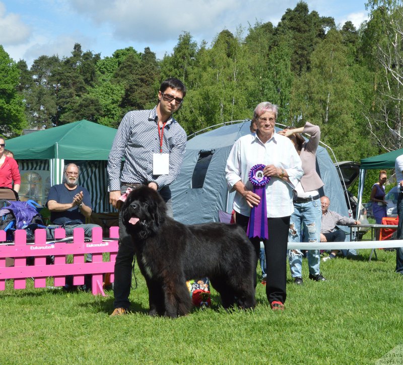 Фотография № 155302