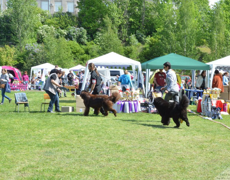 Фотография № 155303