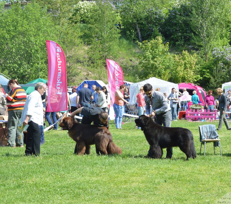 Фотография № 155304