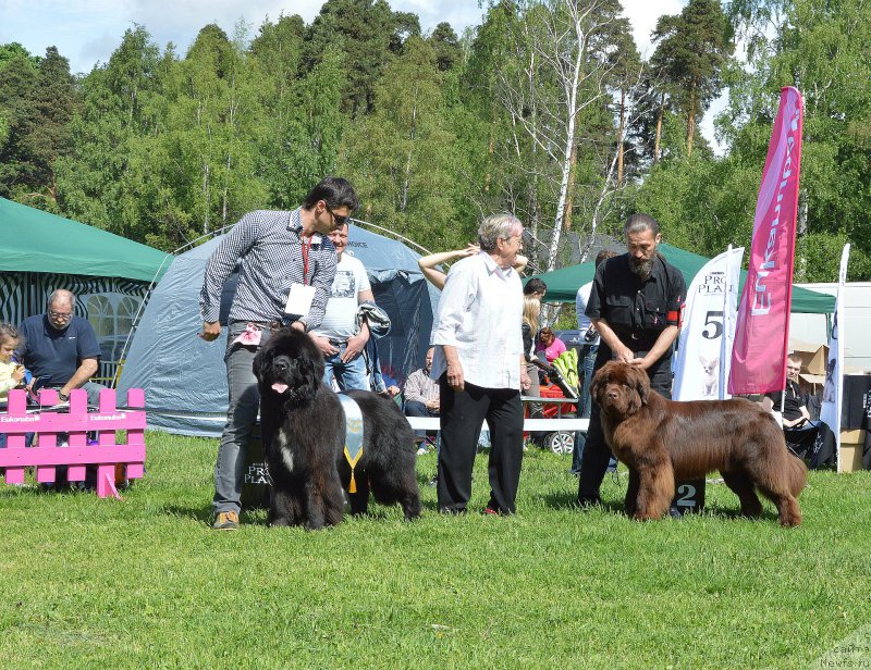 Фотография № 155305