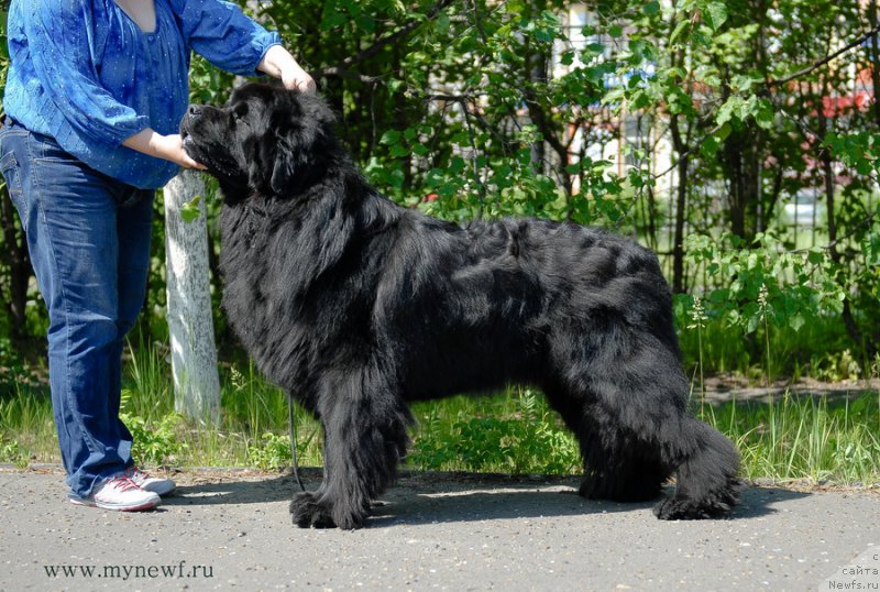 Фотография № 155307