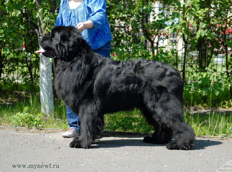 Фотография № 155309